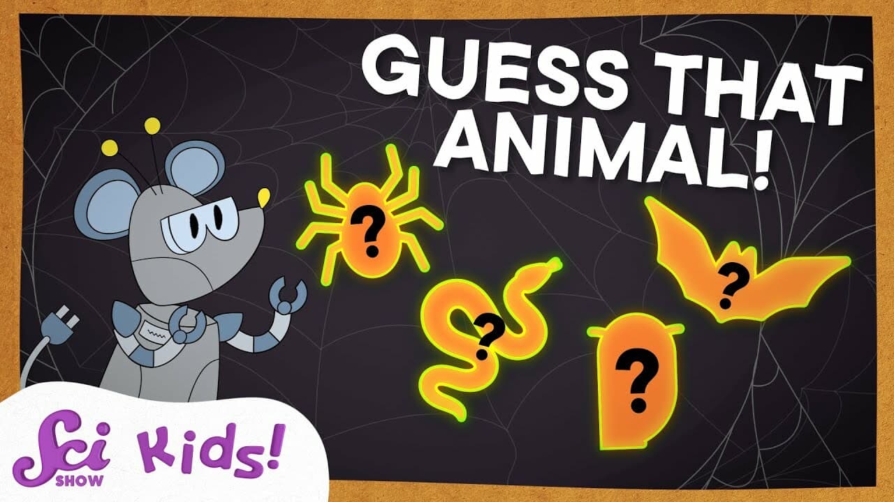 Not-So-Creepy Creatures | SciShow Kids Compilation