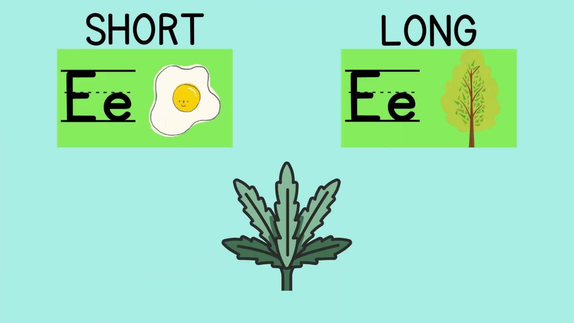 Let's Learn Vowels: Short and Long