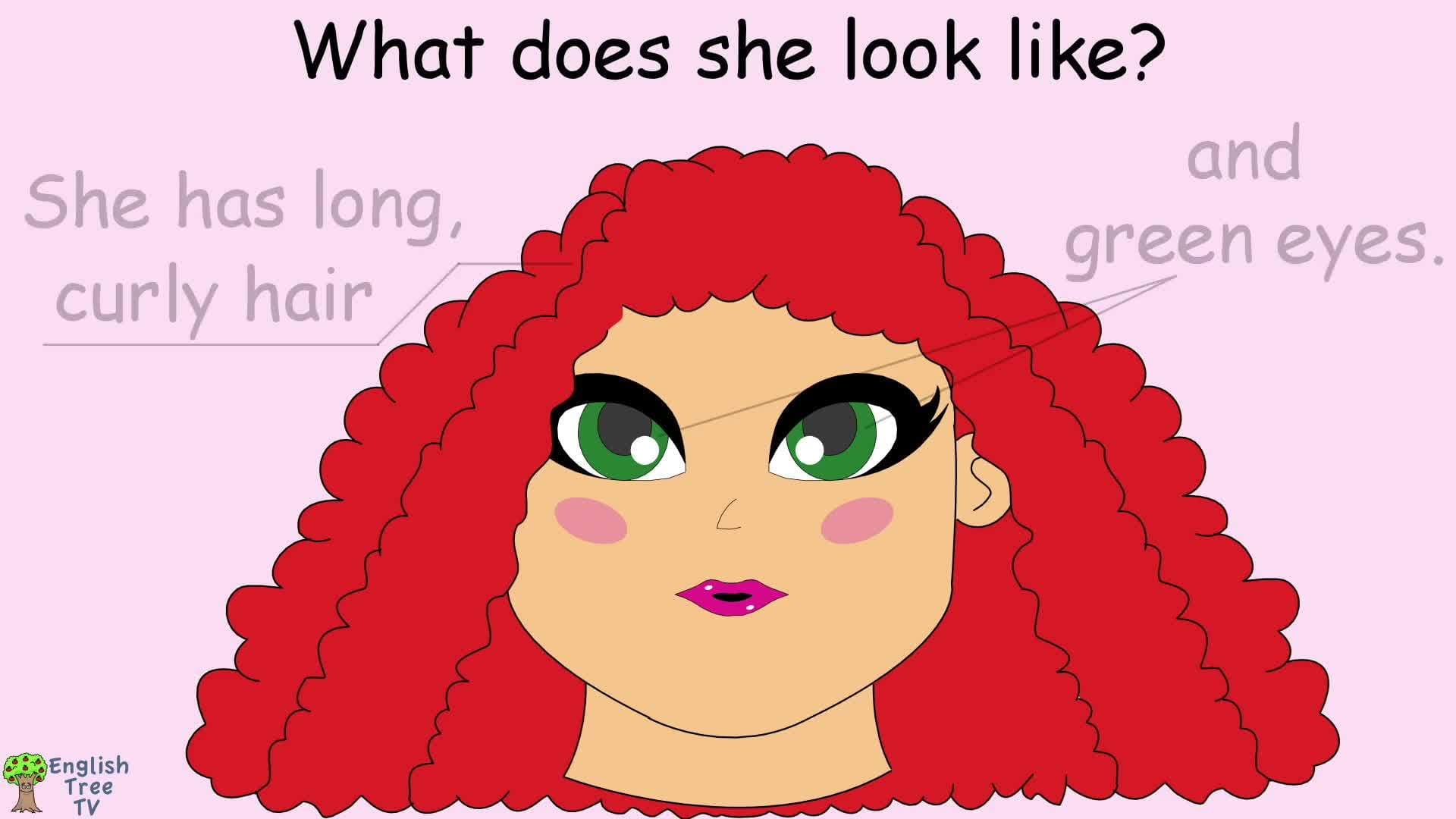 What Does He Look Like? Song | Describing People