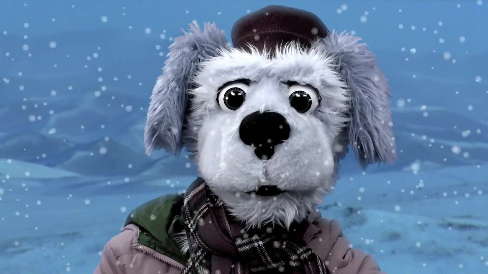 Animal Alphabet: K is for Kea