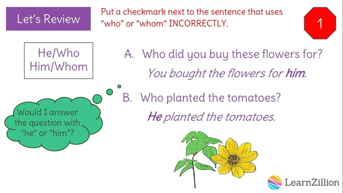 Correct Usage of Who and Whom in Questions