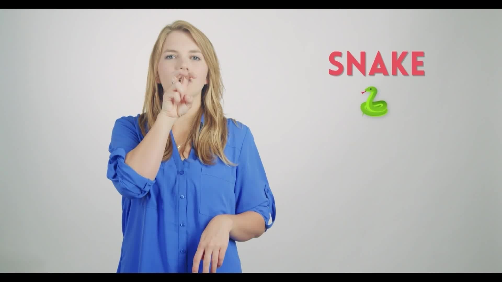 ASL- Pets and Ocean Animals Vocabulary