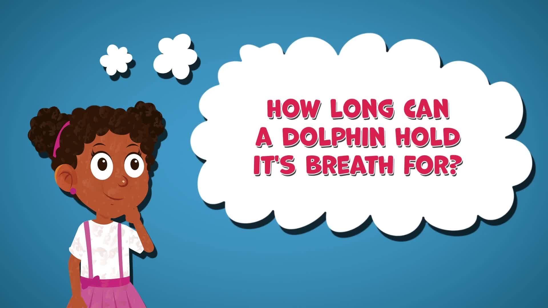 I WONDER - How Long Can A Dolphin Hold It's Breath For?