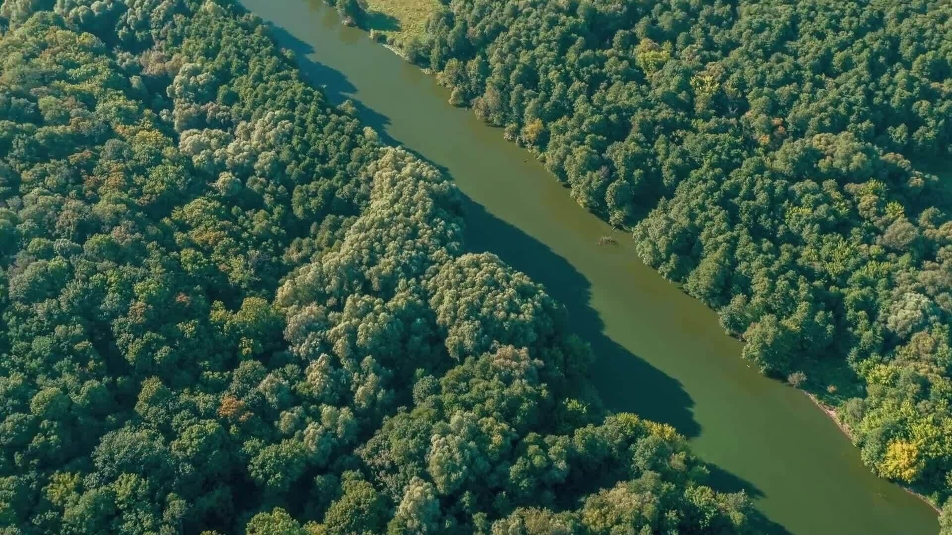 High Five Facts - Amazon River