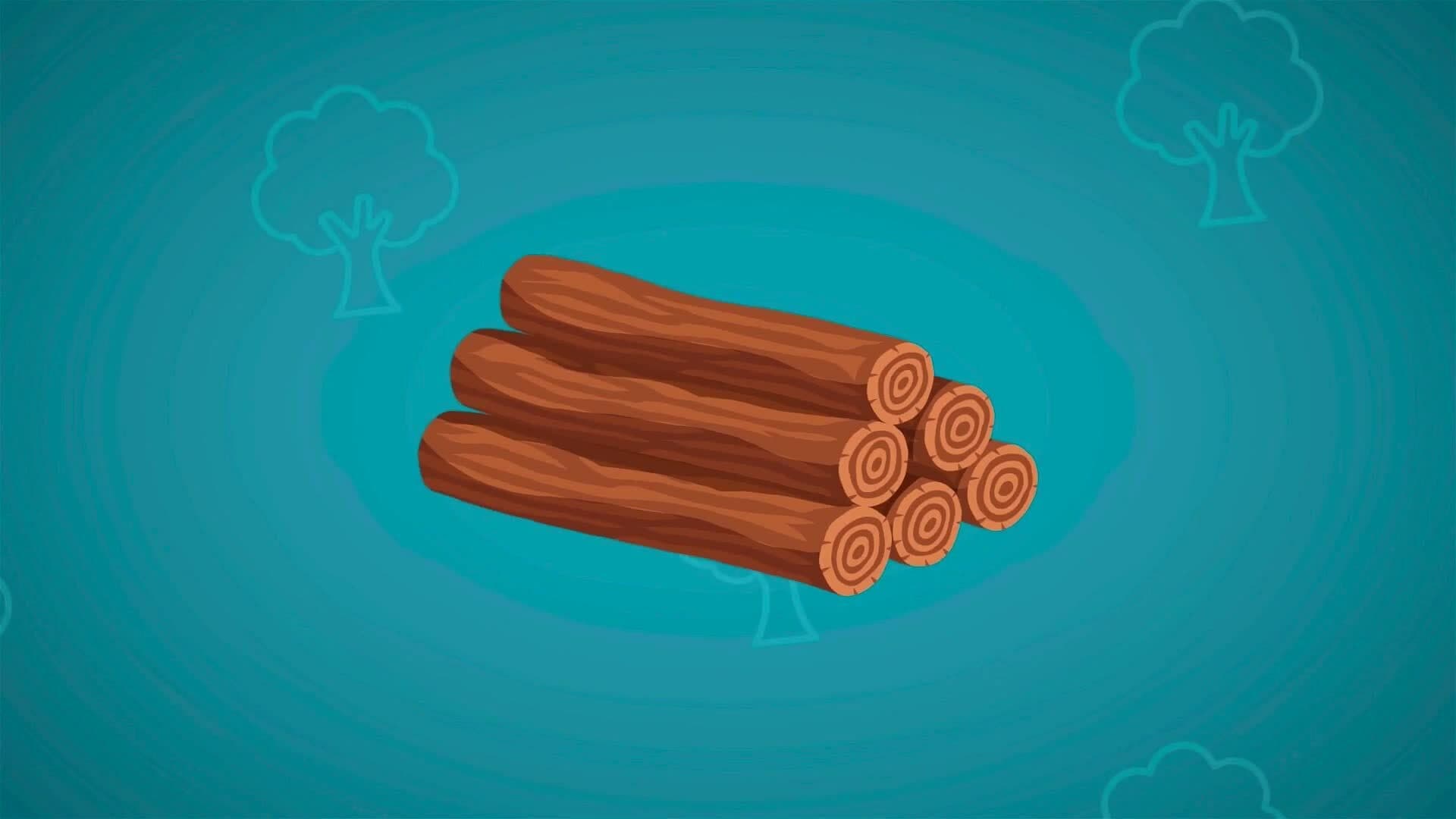 I WONDER - What Materials Do Trees Give Us?