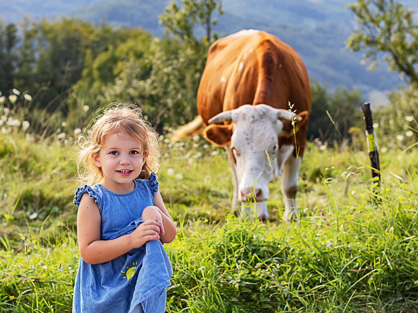 The Power of Knowledge