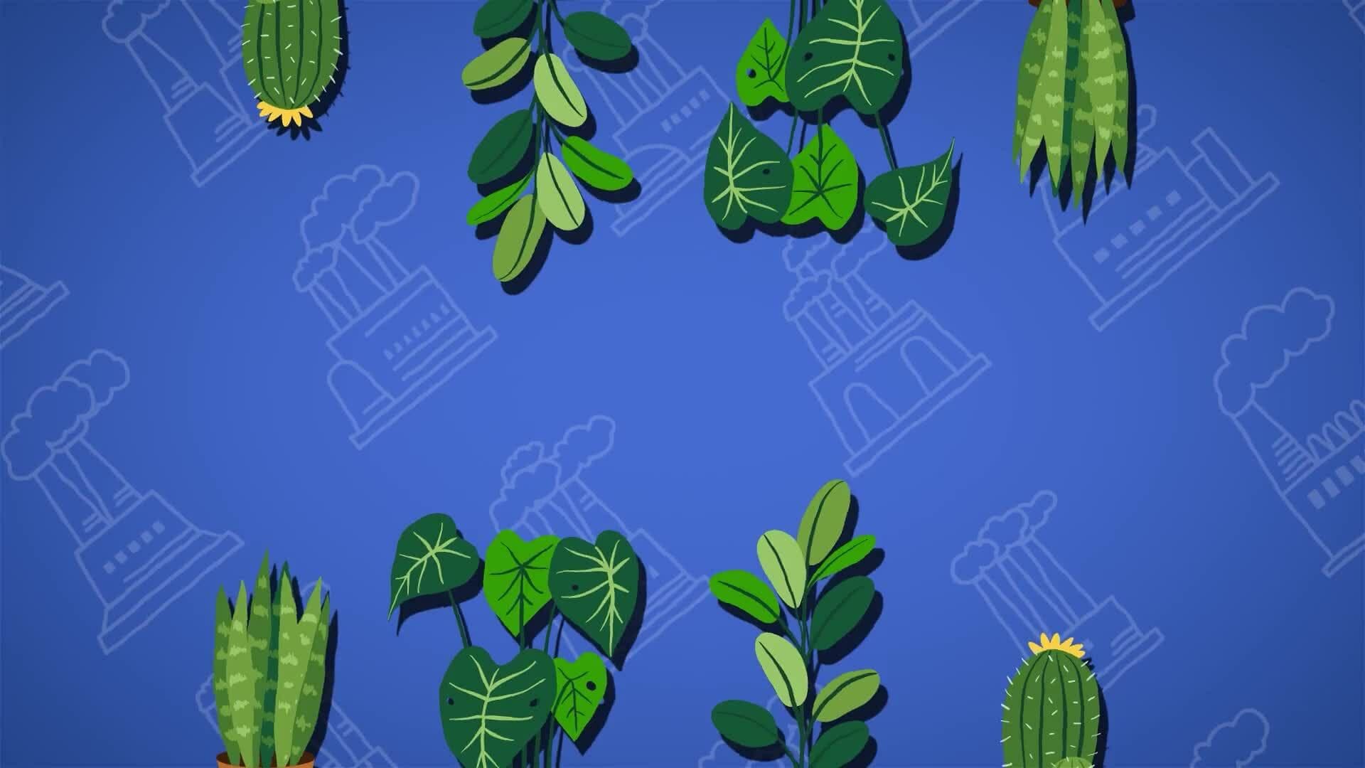 I WONDER - Can House Plants Reduce Air Pollution?