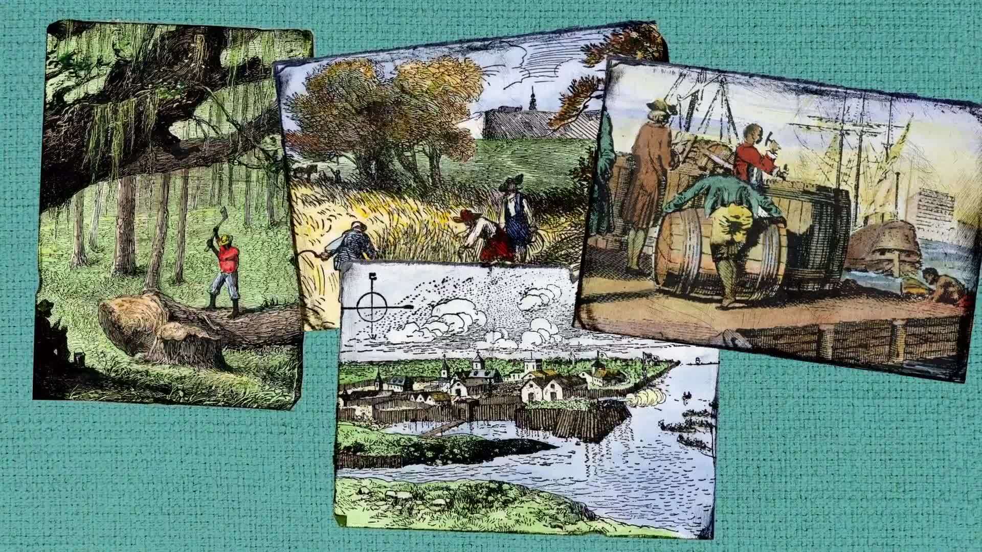 Slavery in the Colonies