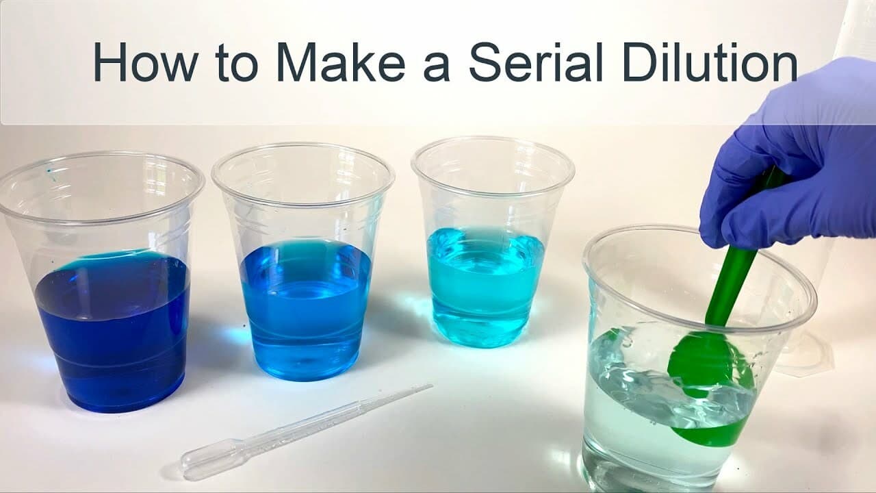 How to Make a Serial Dilution