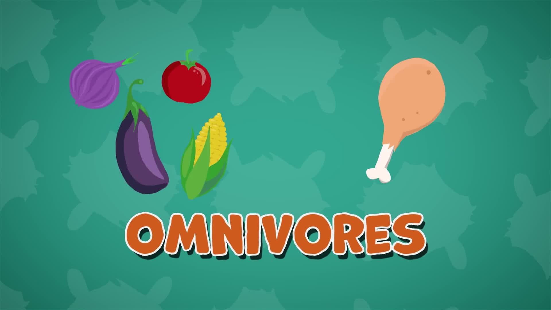 I WONDER - What Do Skunks Eat?