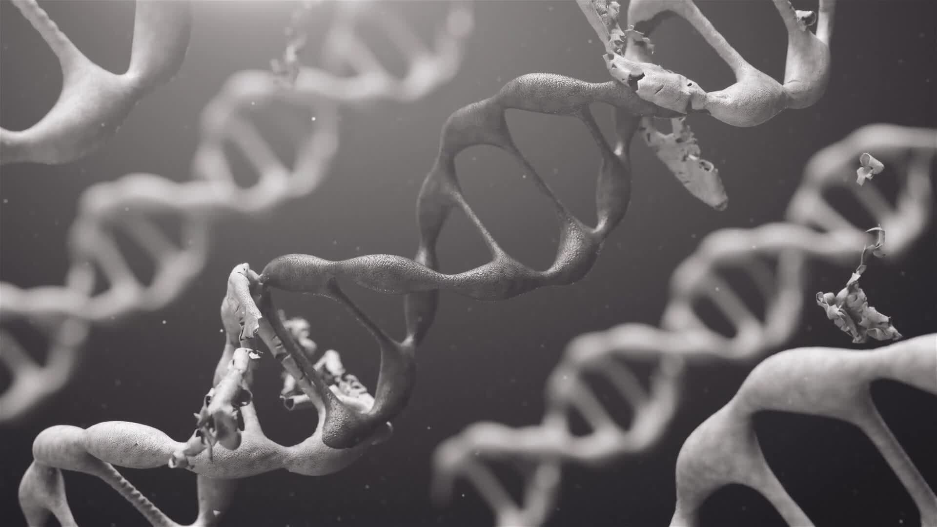 I WONDER - What Effect Did The Megalosaurus Have On Other Dinosaurs?