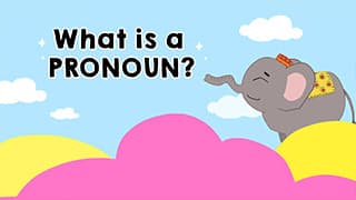 Introduction to Pronoun