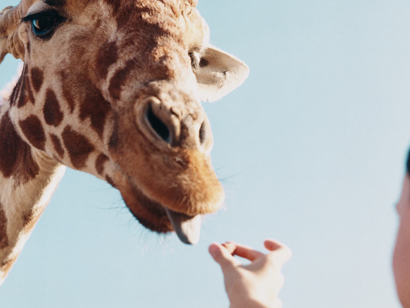 Perseverance and Nature's Architect