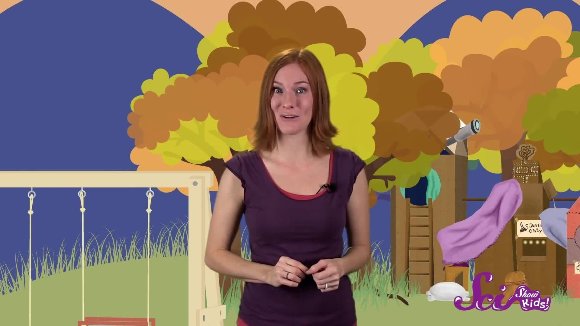 How Does My Bike Stay Up? Physics for Kids