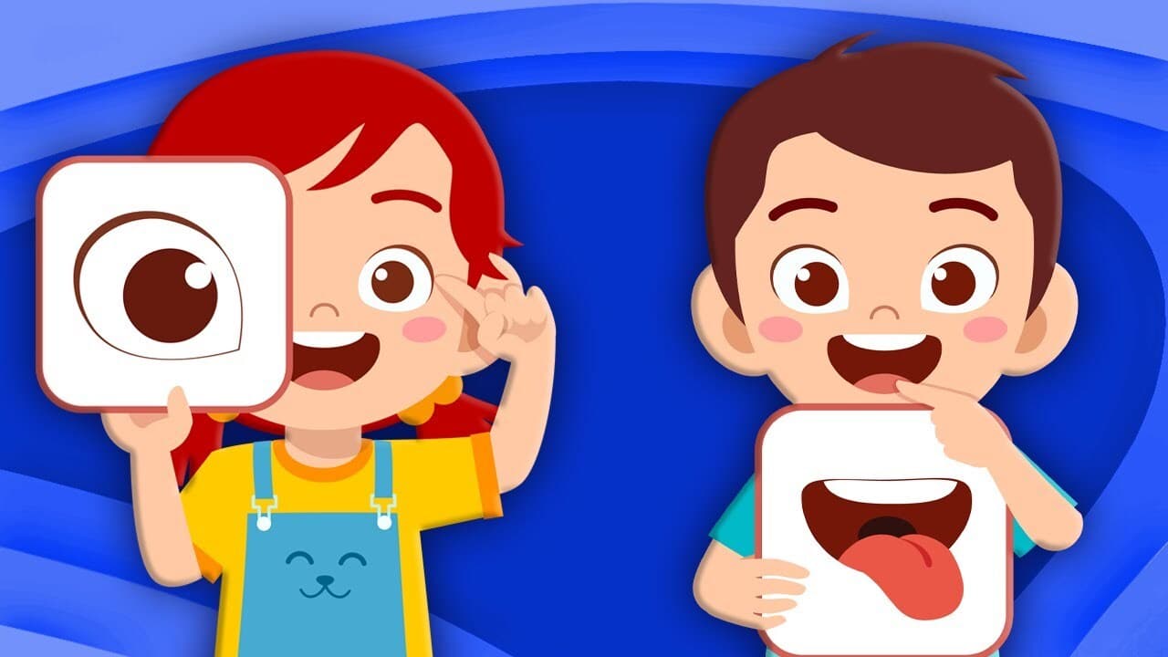 Explore The 5 Senses!