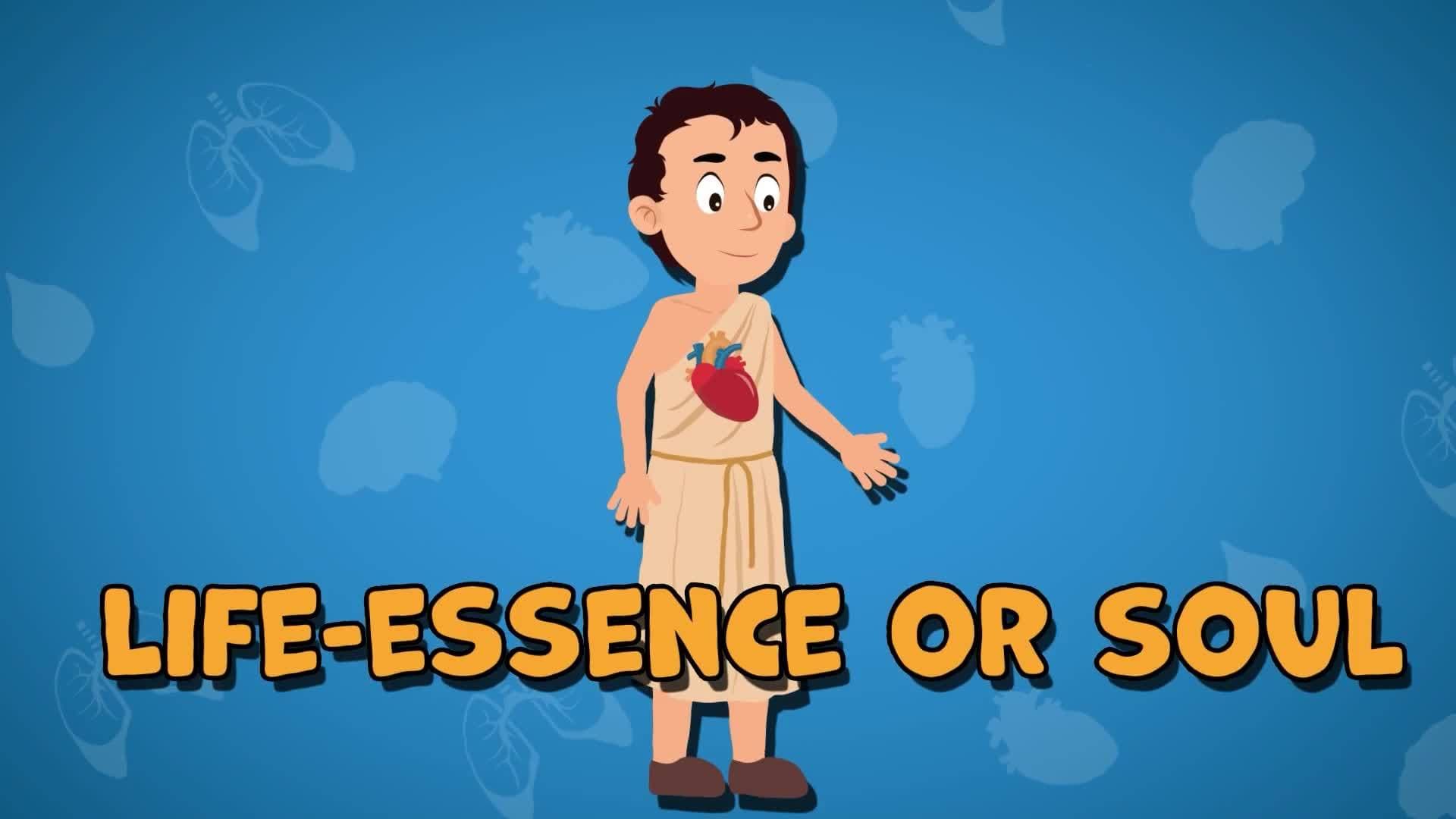 Five Facts - Circulatory System