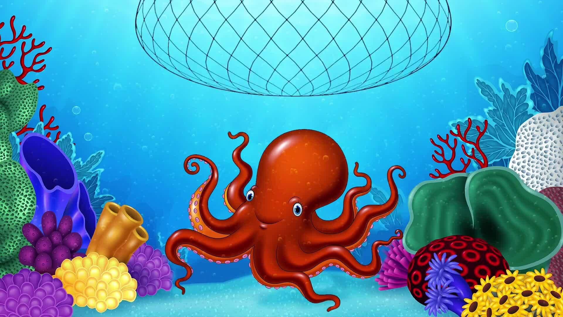 The Remarkable Intelligence of Octopuses