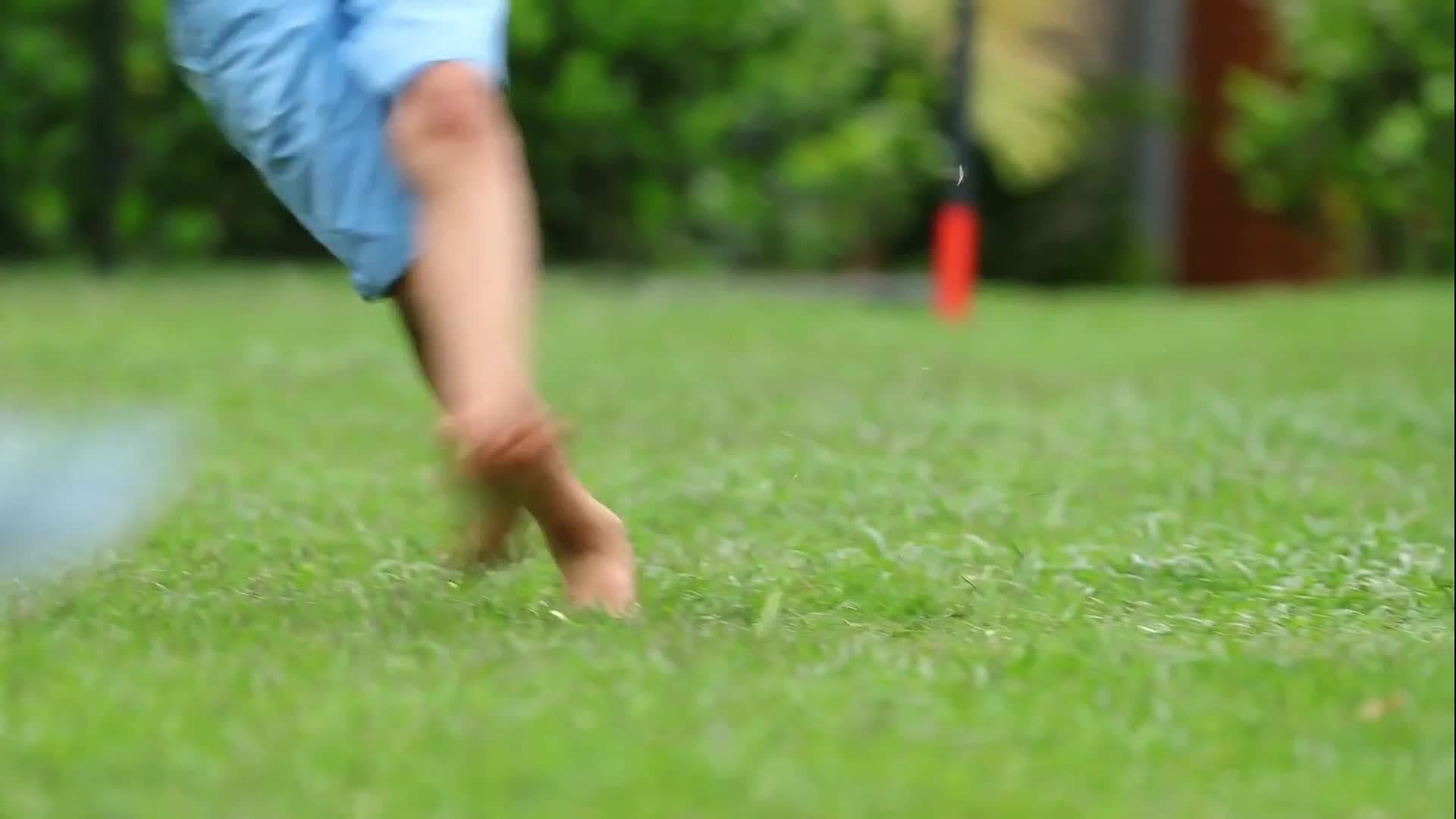 Isaac Newton's Principia: Laws of Motion and the Discovery of Gravity