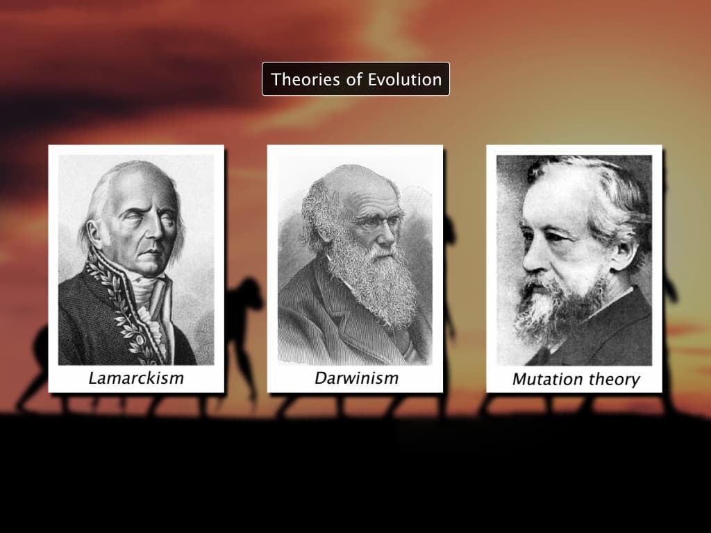 Theories of Evolution