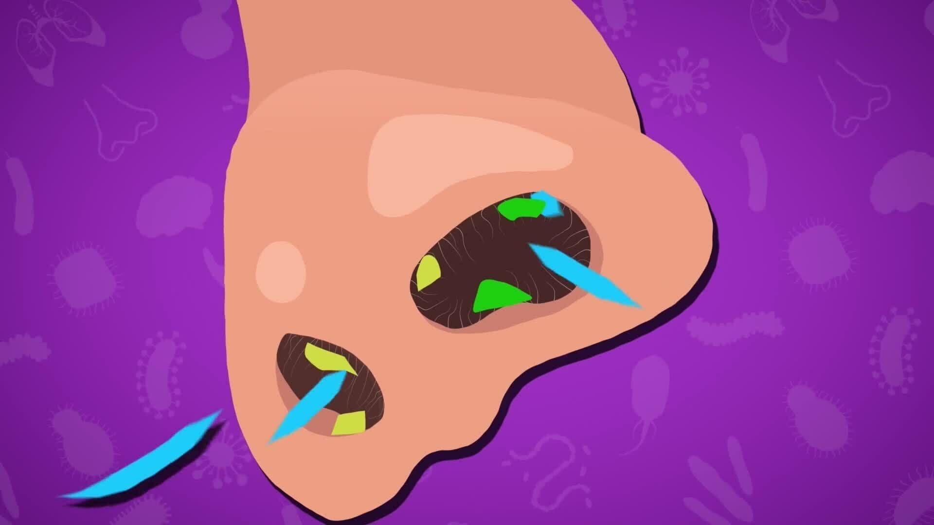 High Five Facts - Immune System