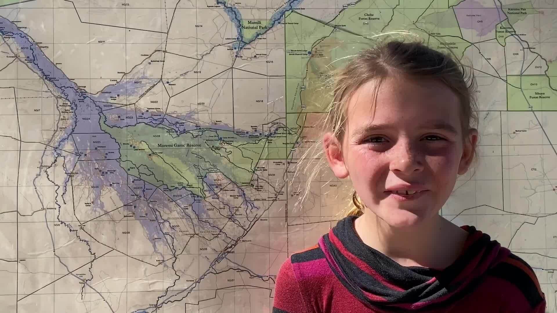 On Safari with Nala - The Okavango Delta