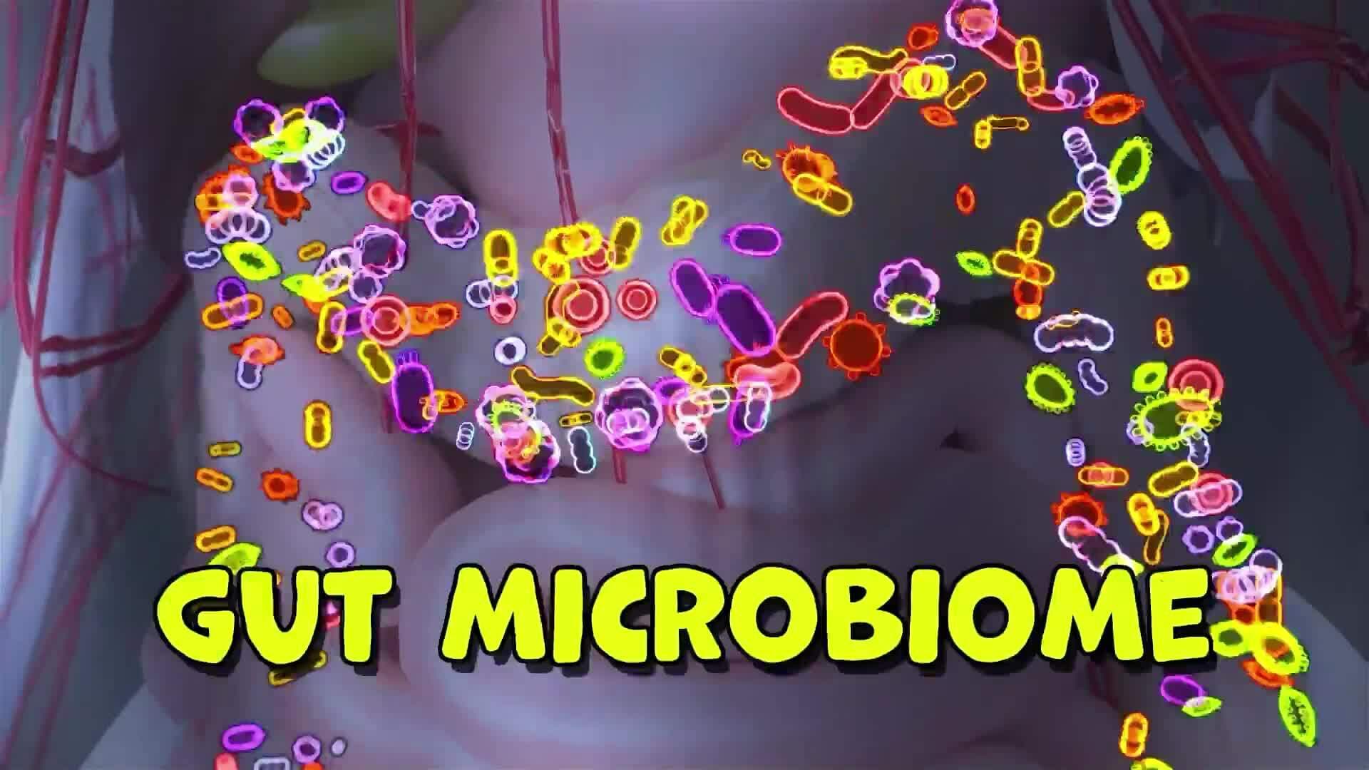 I WONDER - Why Do We Need Bacteria In Our Colon?