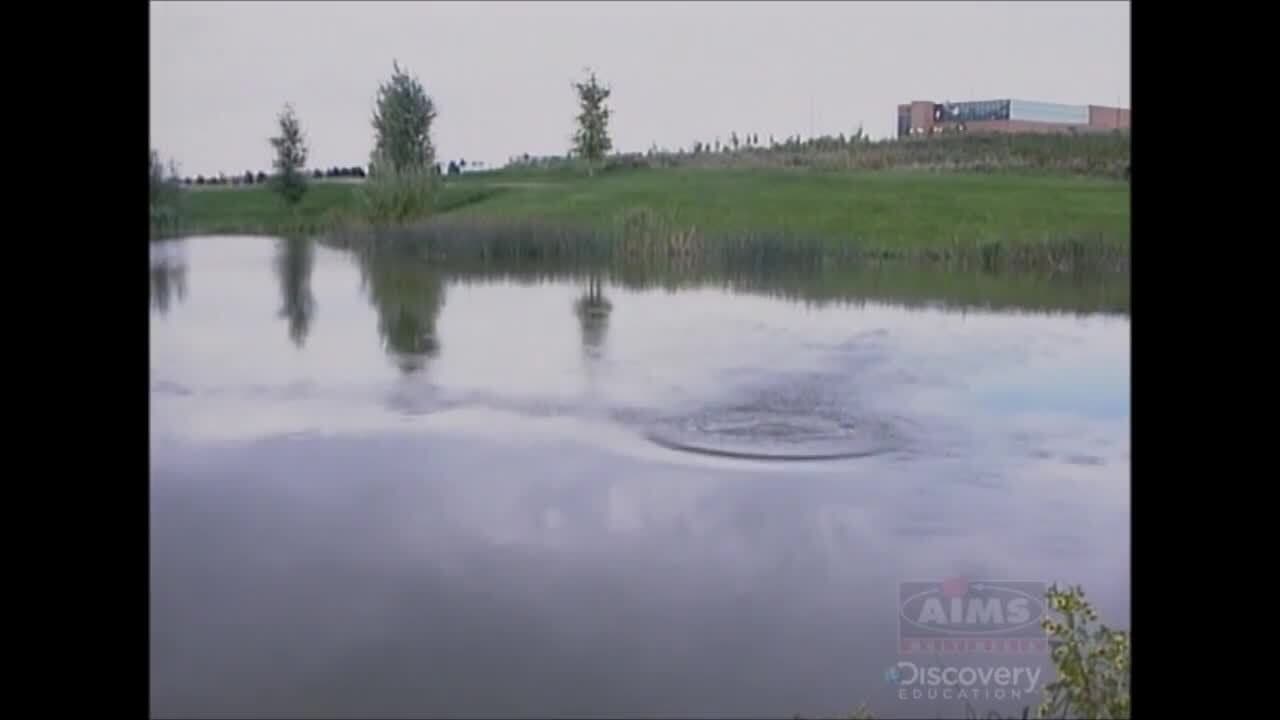 Wave Motion: Periodic Motion