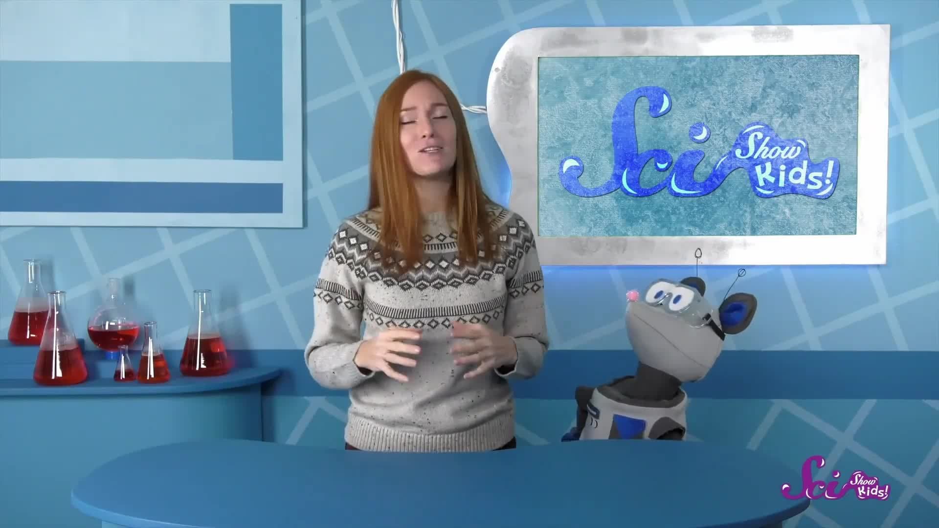 The Secret of Frozen Frogs! | Winter Science | SciShow Kids