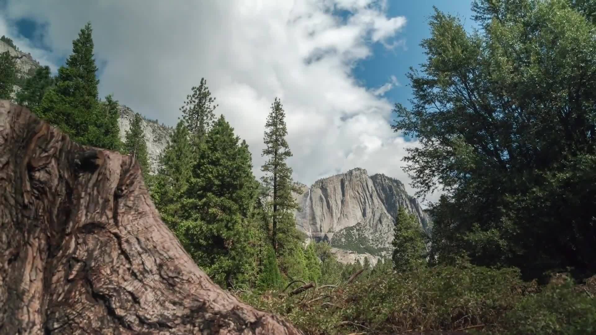 Indigenous Life in Pre-Colonial California