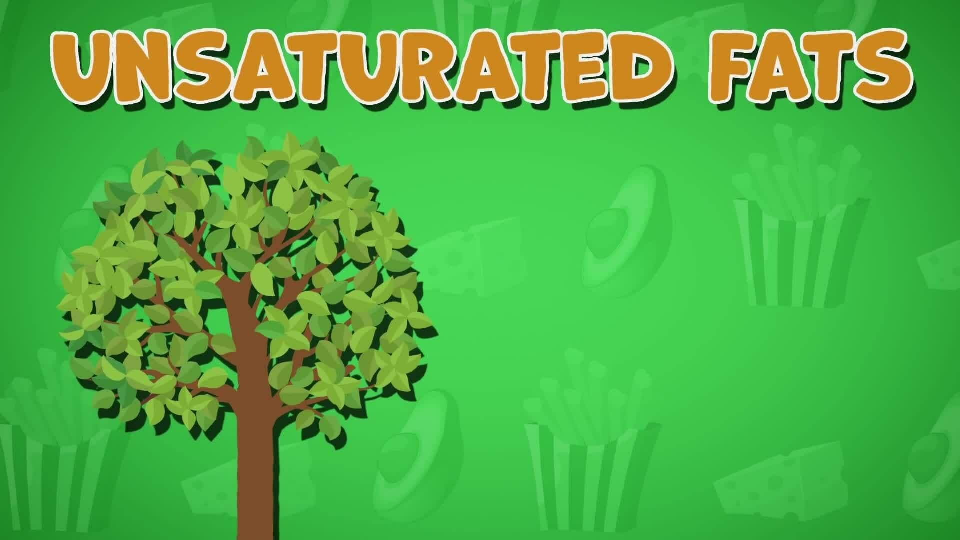 High Five Facts - Fats