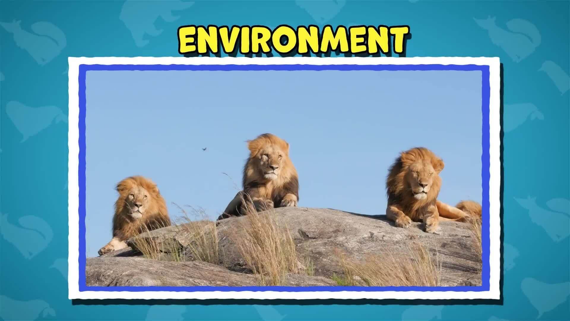 I WONDER - Do All Mammals Have Hair?