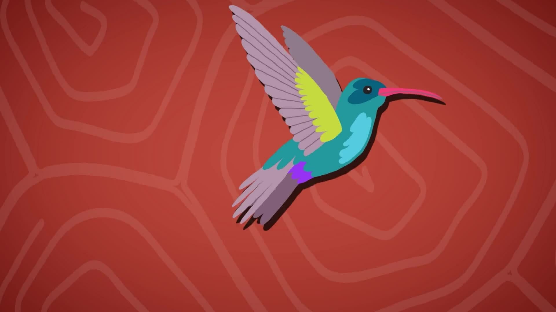 High Five Facts - Smallest Animals