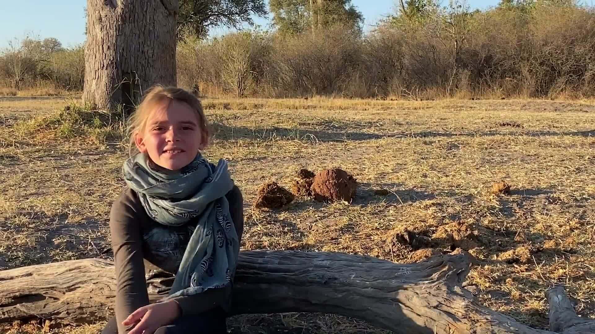 On Safari with Nala - Elephant Dung