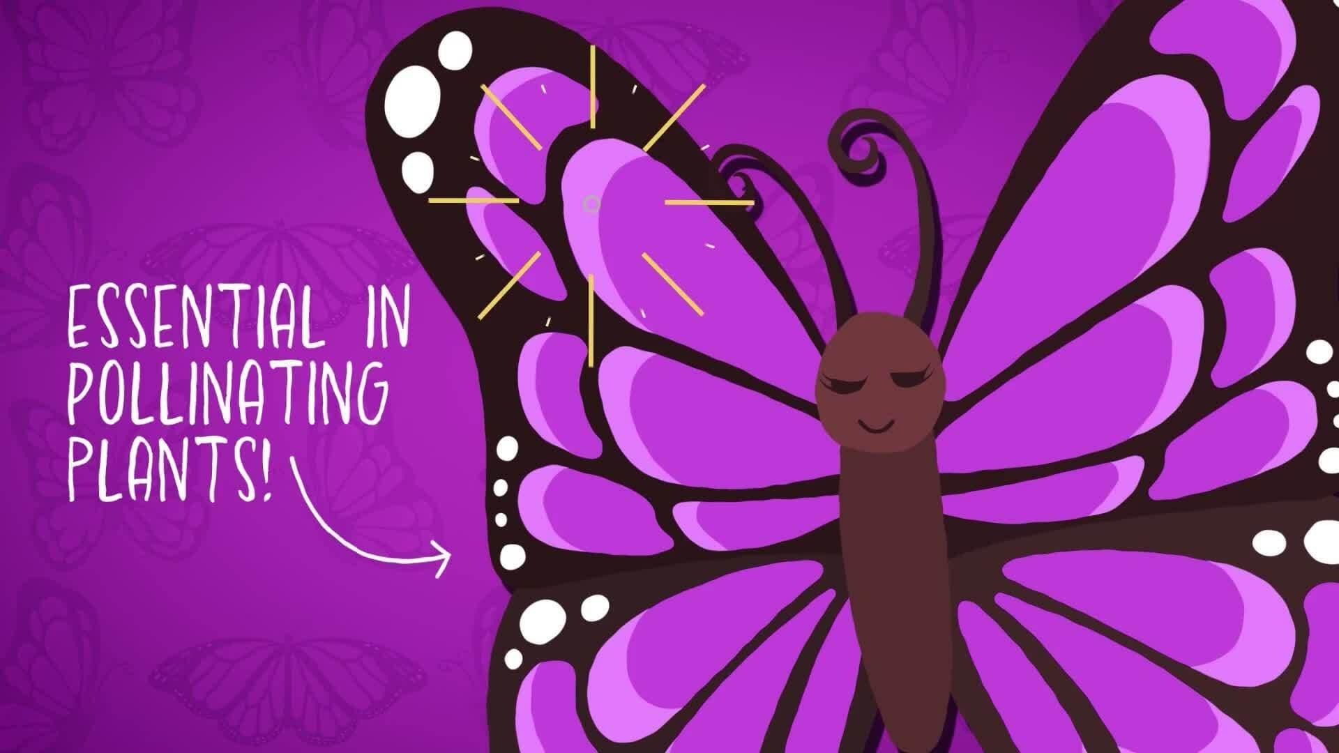 I WONDER - Are Butterflies Pollinators?