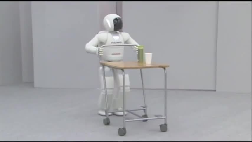 Robotics Challenges for the Future: Robots in the wild