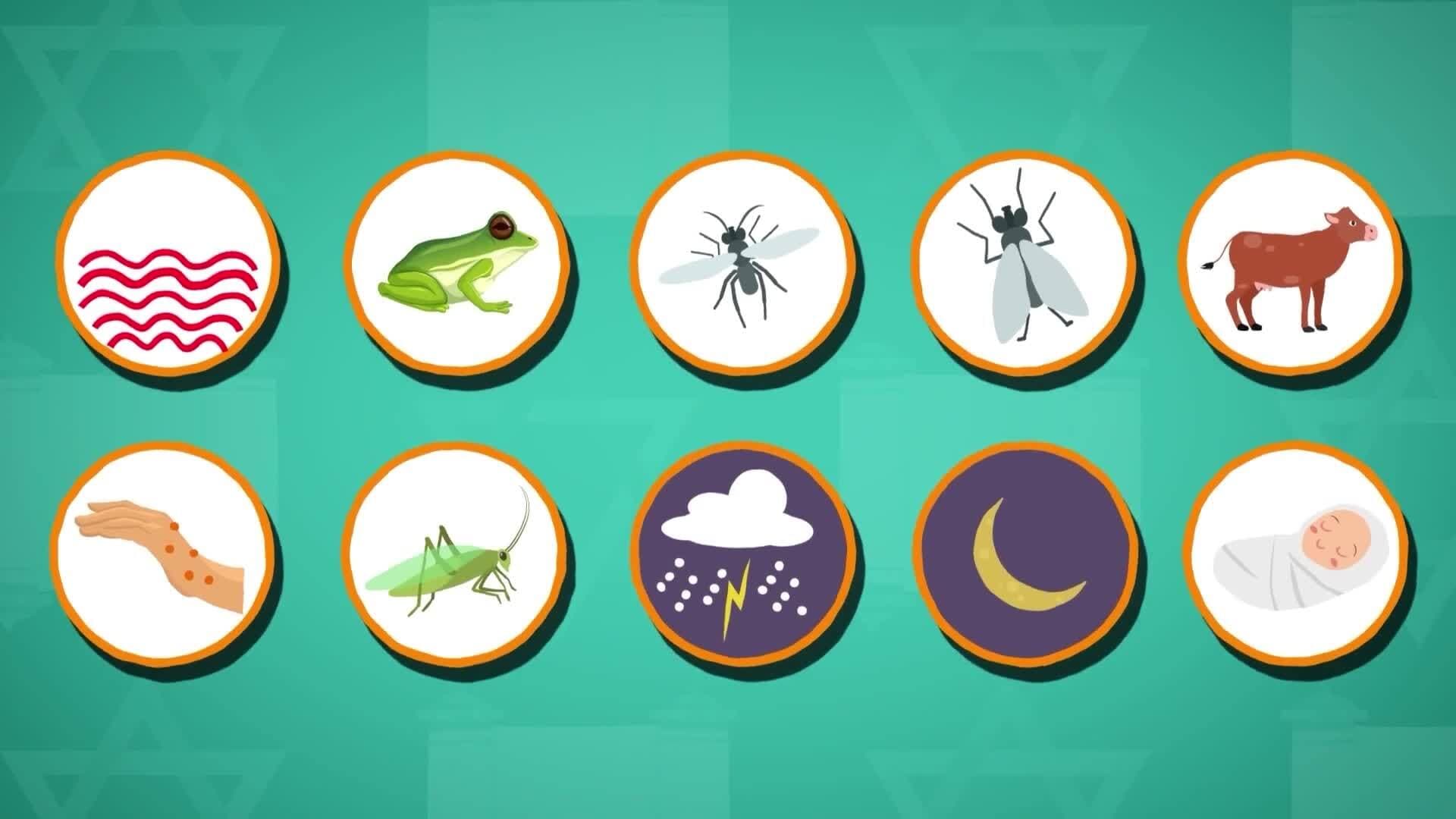 I WONDER - Why Is The Story Of The 10 Plagues Important At Passover?