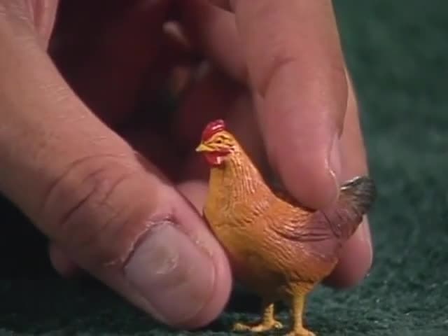 Animals, Birds & Fish: Toys and pretend