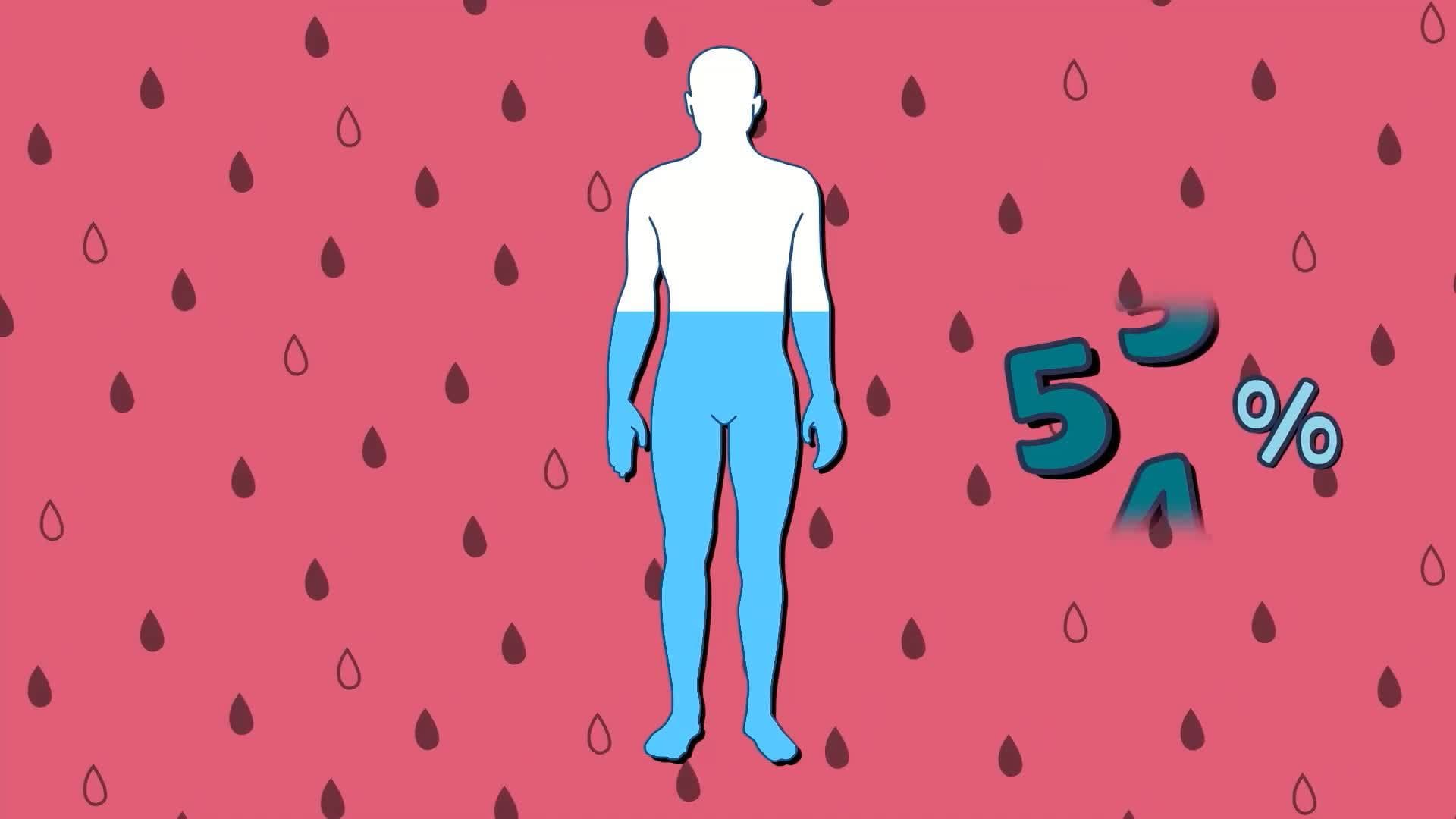 I WONDER - How Much Water Does The Human Body Contain?