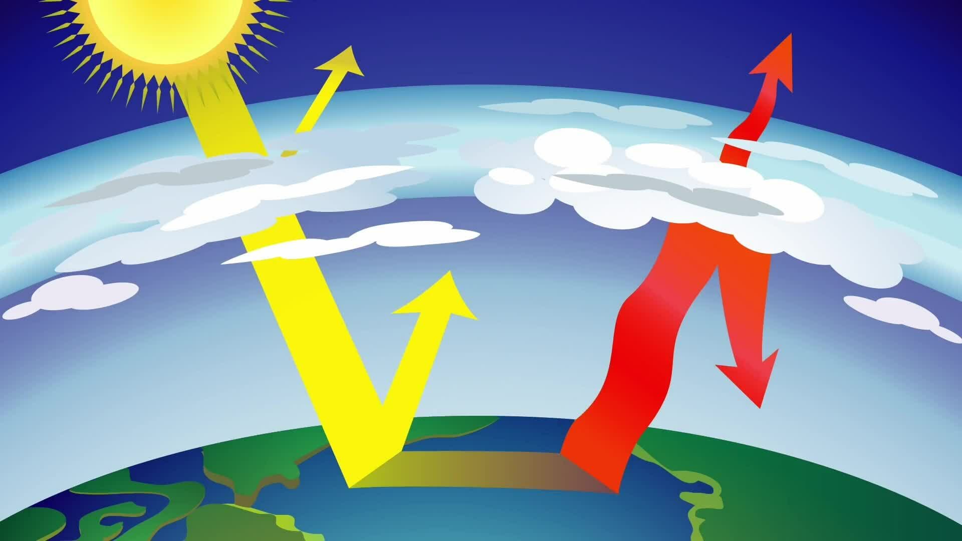 The Rainforest: Earth's Climate Regulator