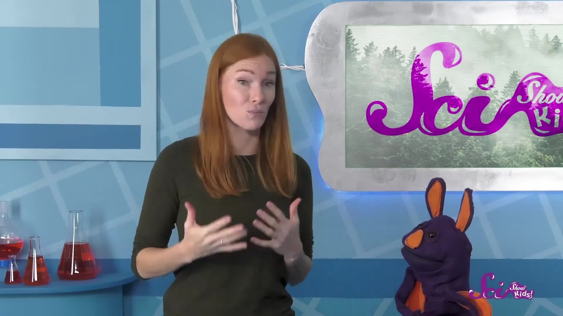 How Plants Drink Fog! | SciShow Kids