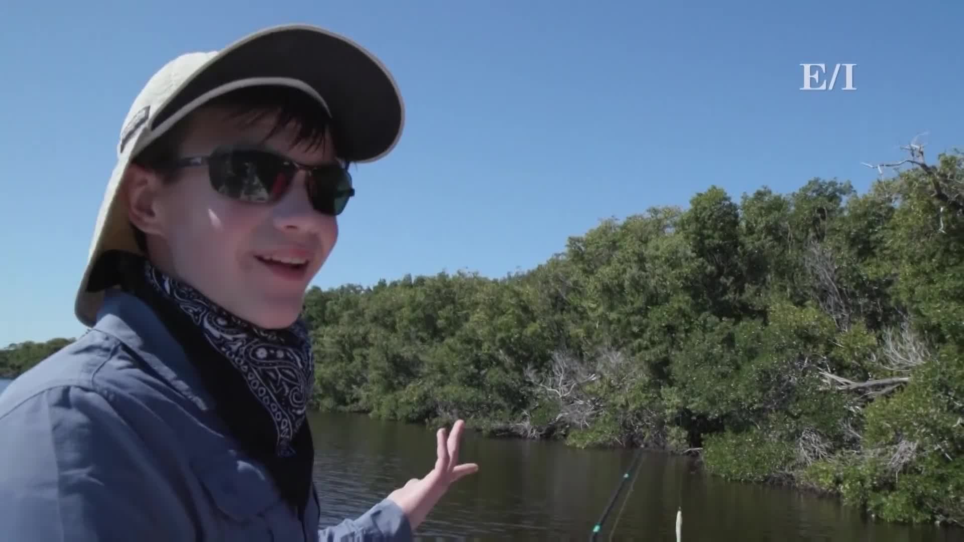 The ecosystem of the Florida Everglades