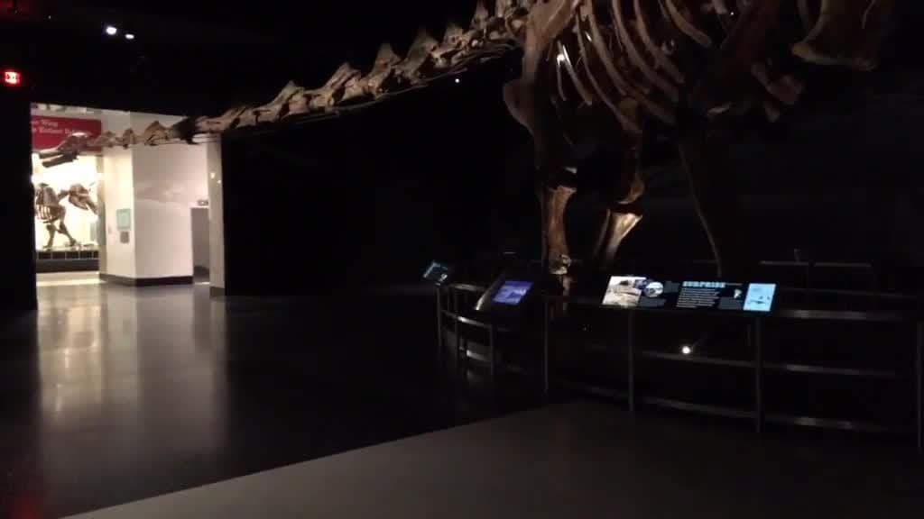 Discovering the Titanosaur: The Largest 3D Printed Skeleton