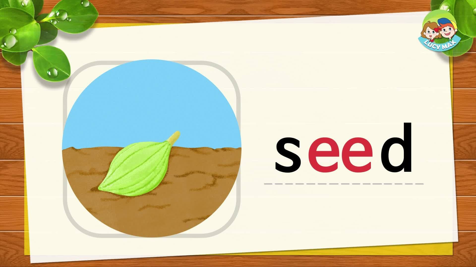 Step3_Lesson6_Long Vowel e (_ee_)