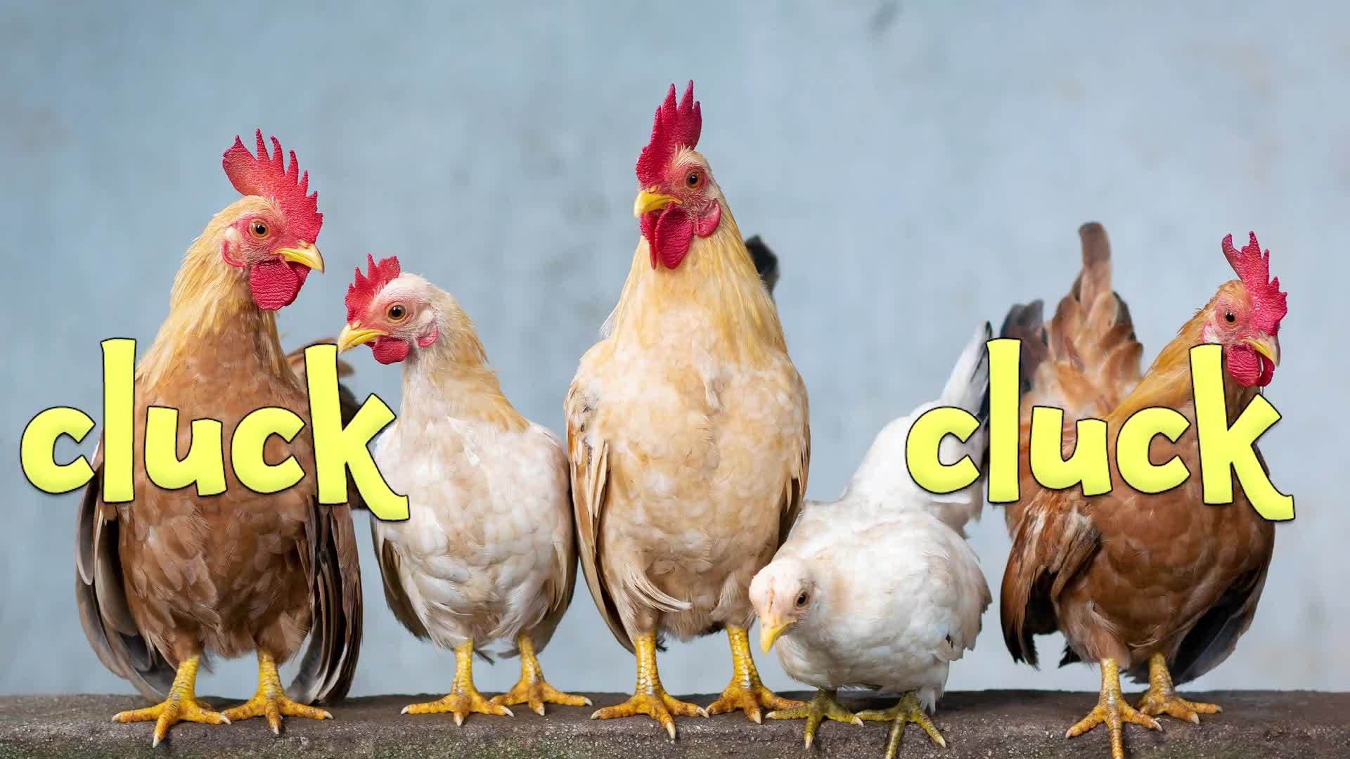 Old MacDonald Had A Farm - Learning Farm Animal Sounds