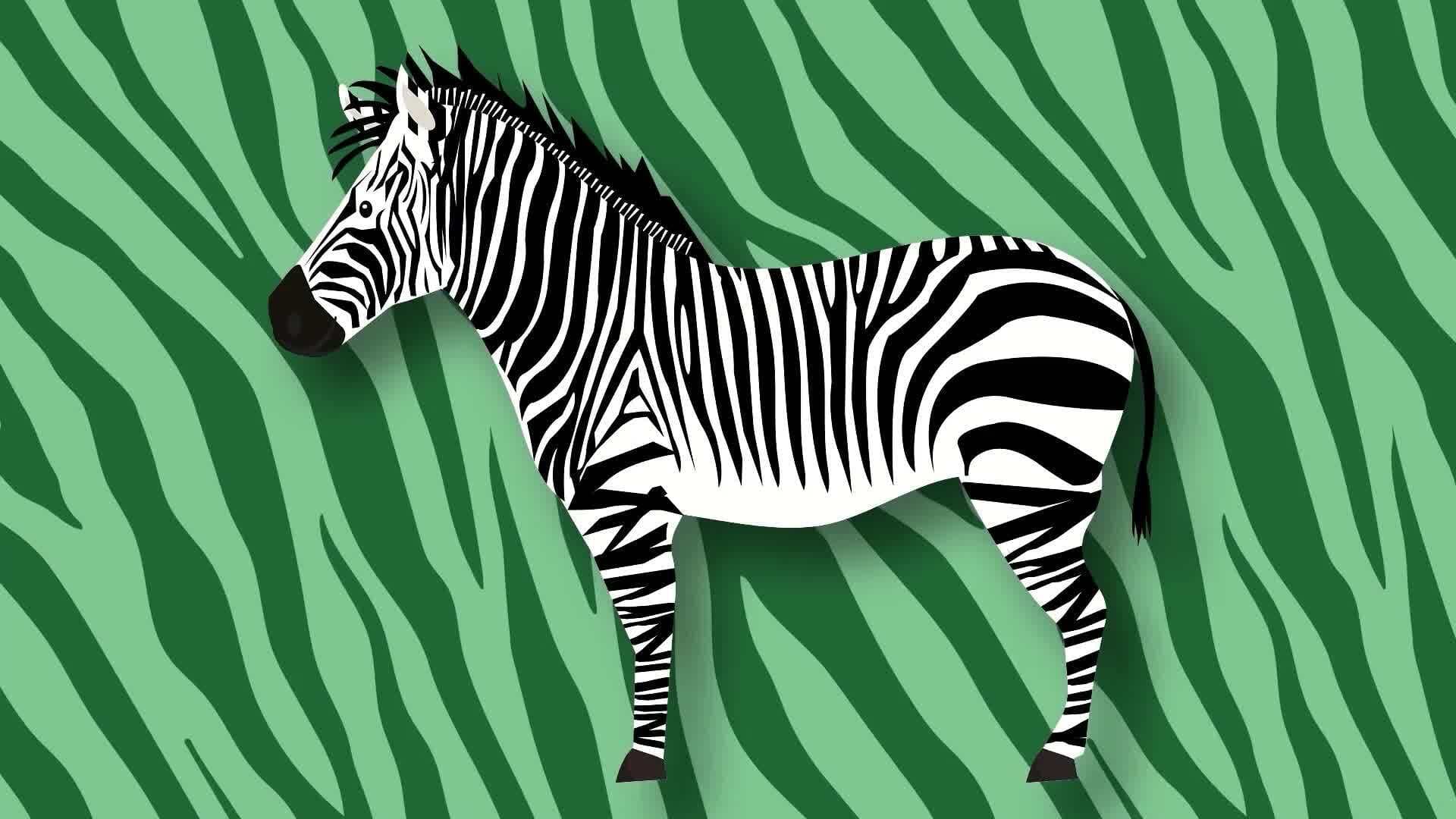 I WONDER - Are There Different Types Of Zebras?
