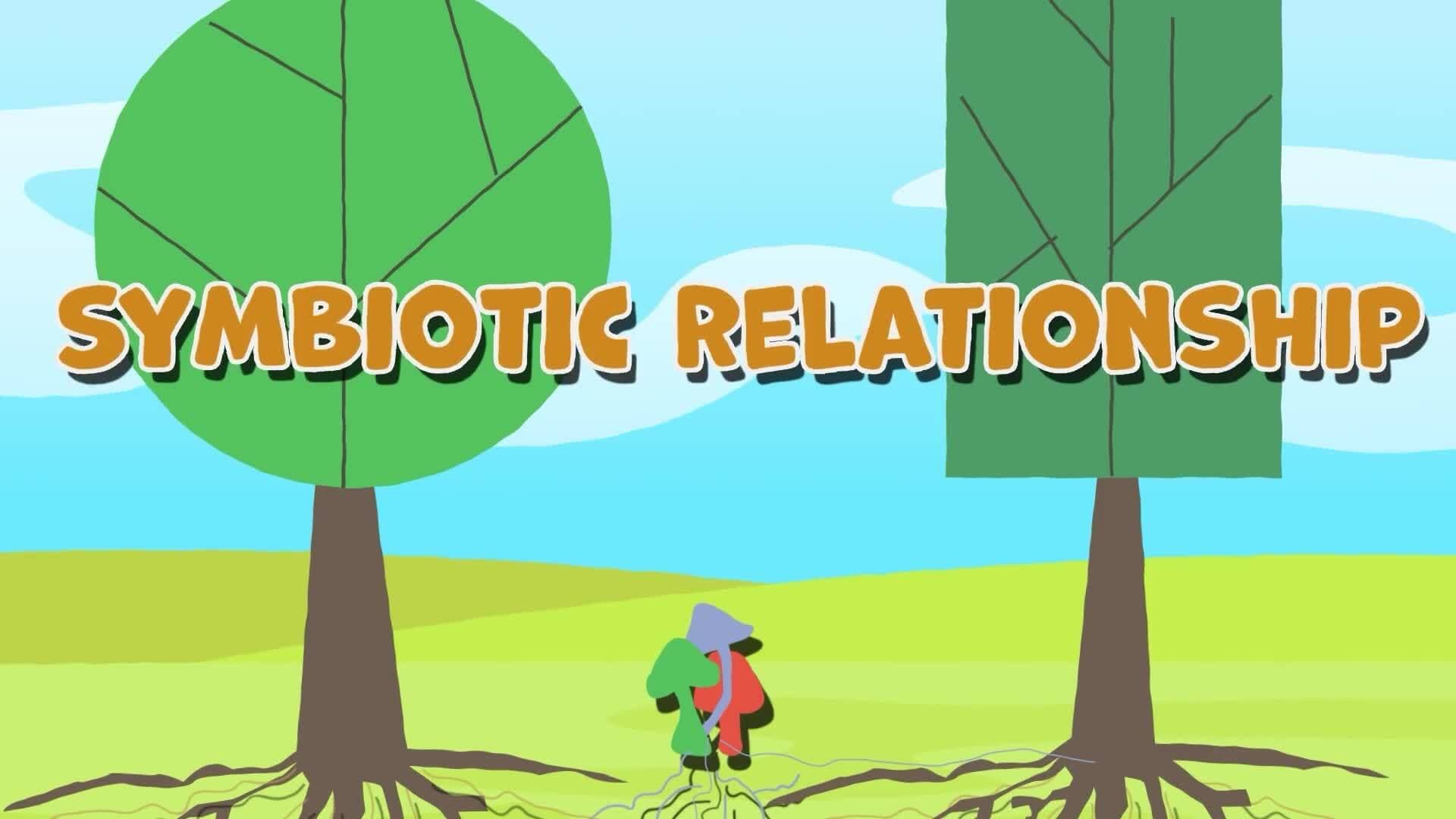 High Five Facts - Fungi