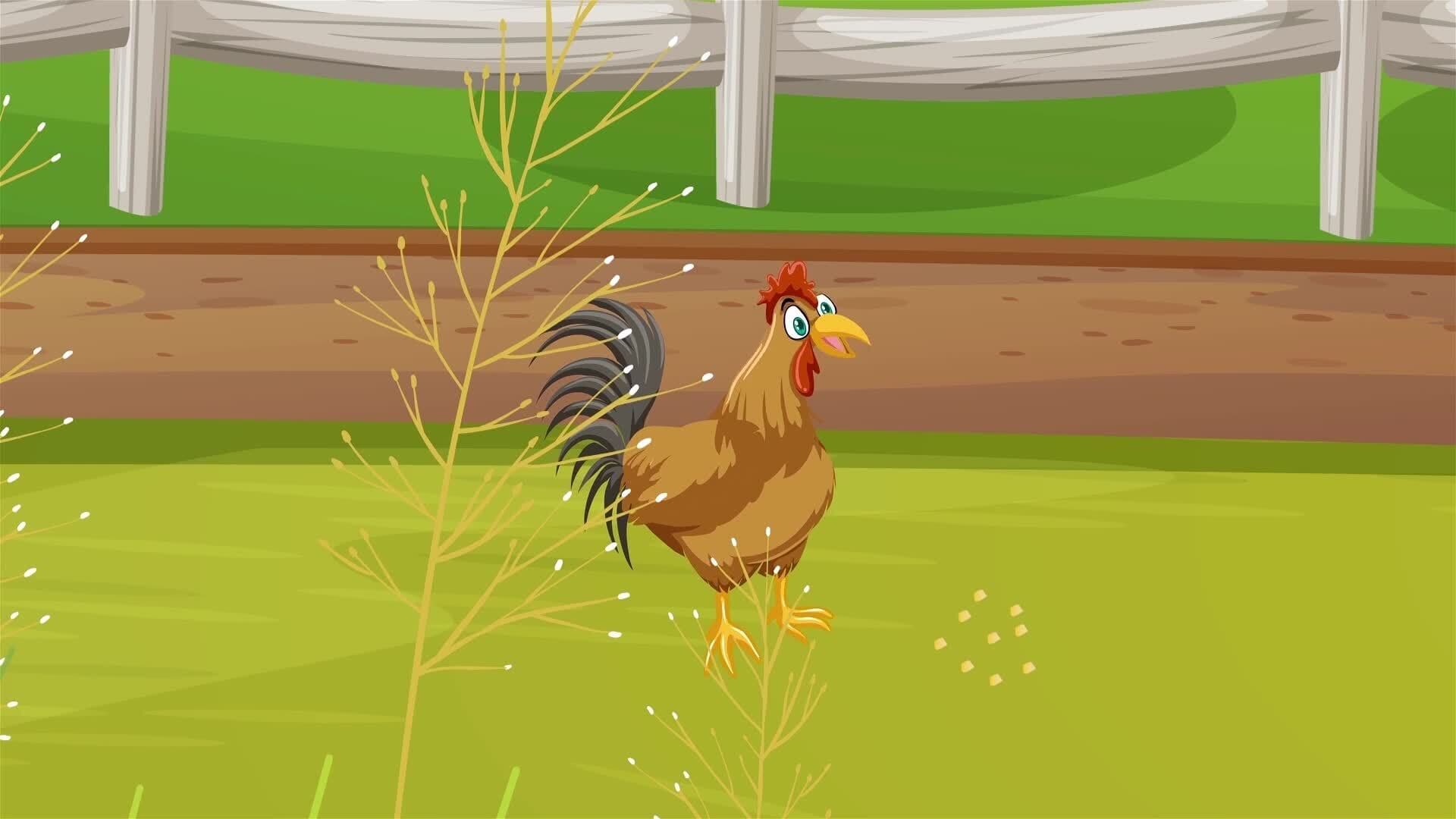 I WONDER - What Do Chicken Sounds Mean?