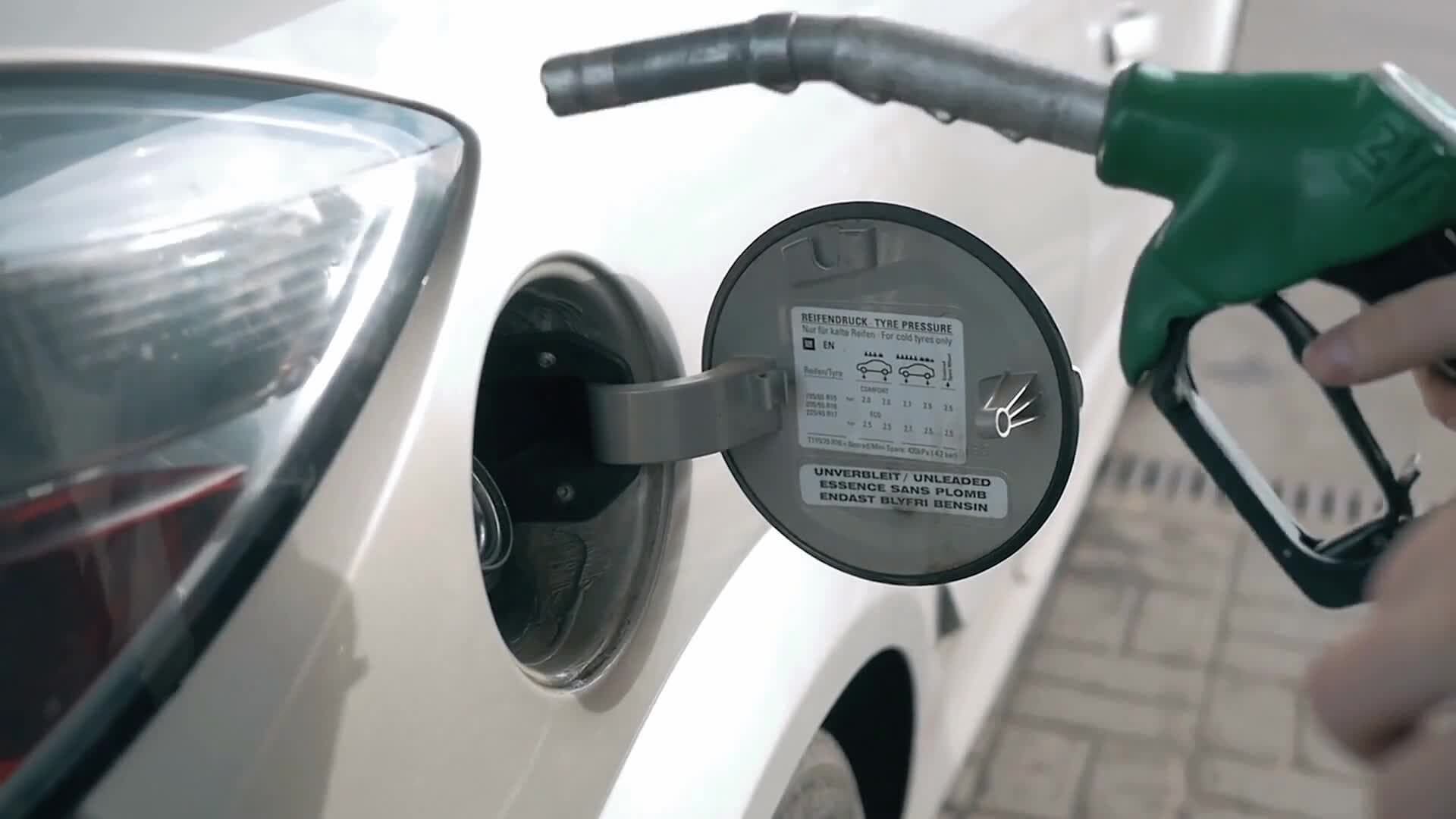 The Sixth Extinction: Human Impact on Earth's Biodiversity