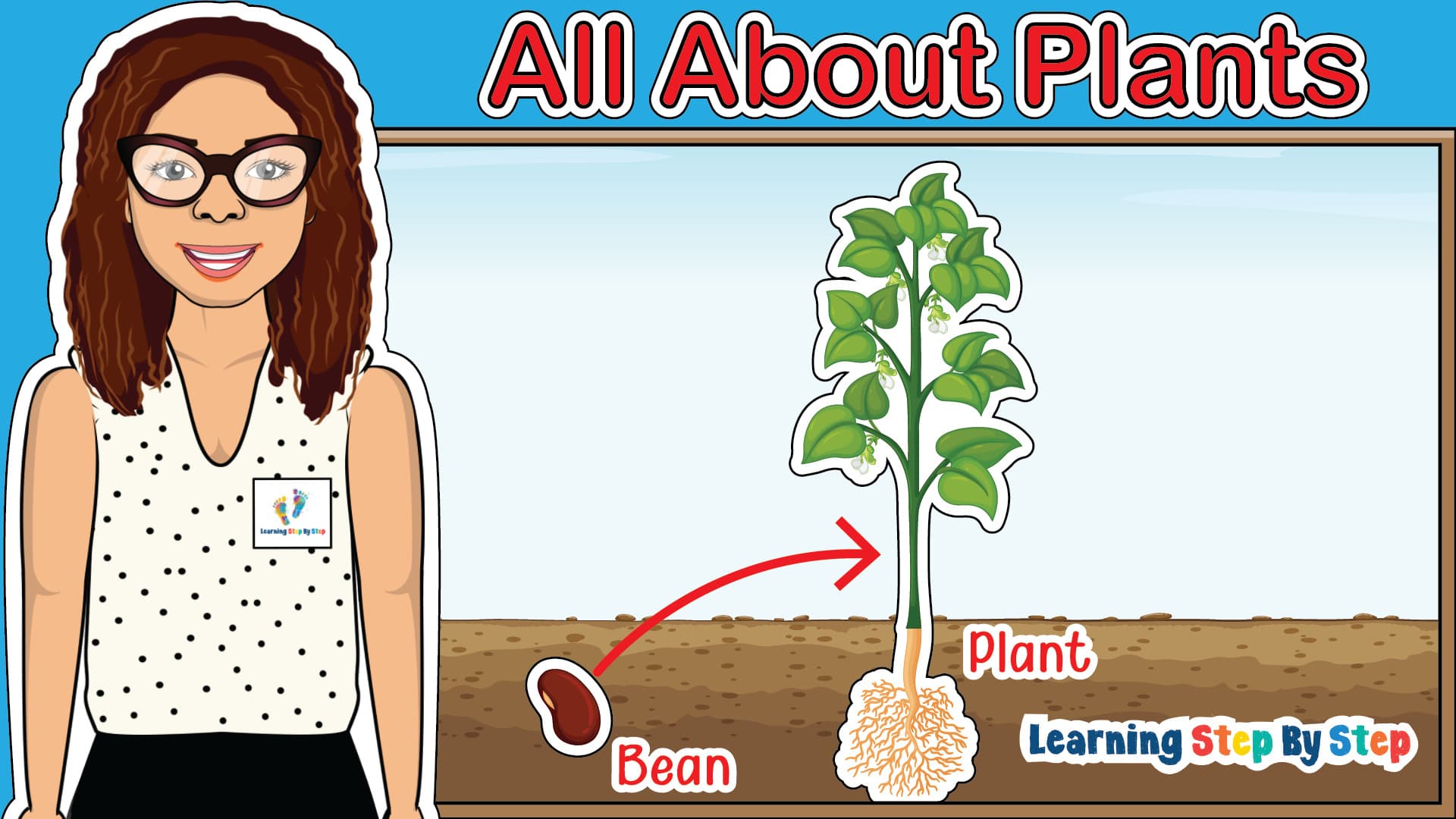 How Do Seeds Become Plants?