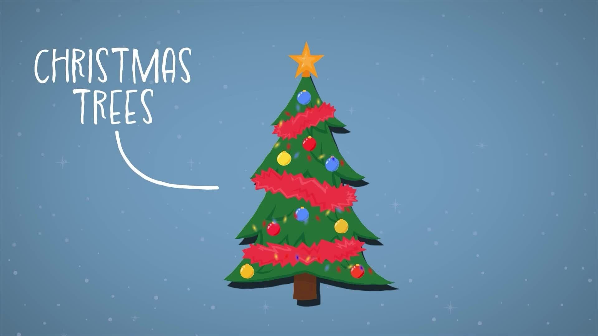 I WONDER - Where Do Christmas Trees Come From?